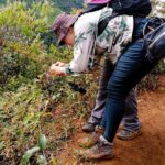 Cali: Bird Watching | Birding in the cloud forest at kilometer 18 - Who Should Consider This Tour?