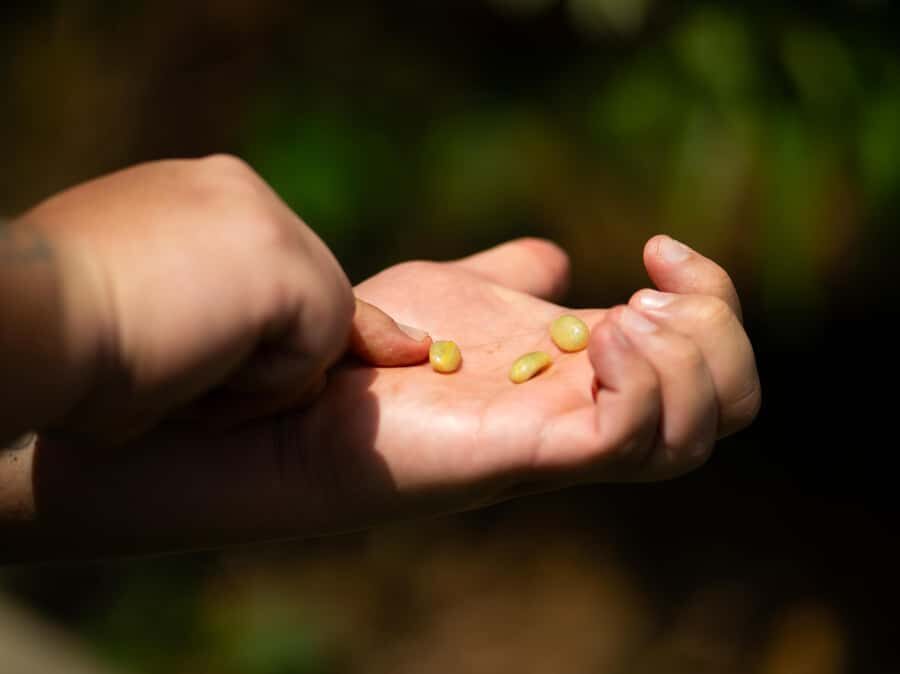 Cali: Coffee Tour - Authentic Coffee Experience - Who Will Get the Most Out of This Tour?