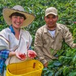 Cali: Coffee Tour - Discover the secrets of 100% Colombian coffee - Key Points