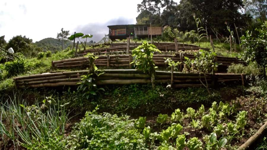 Cali: Jepp, Wala. food sovereignty, coffee tasting, river - What to Expect from the Tour