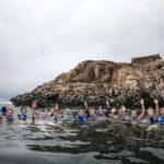Callao: Swimming with Sea Lions Palomino Islands Boat Tour - What’s Included and What’s Not