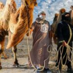 Camel Adventure in the Peruvian Desert - A Detailed Look at the Camel Adventure Experience