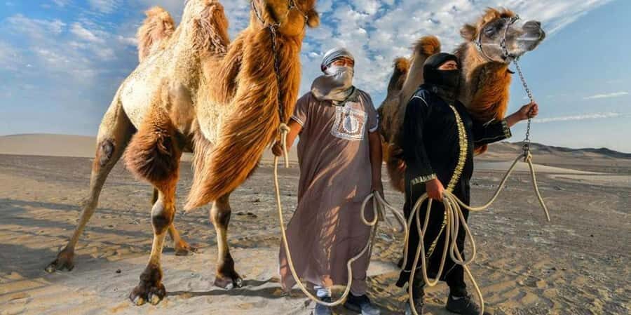 Camel Adventure in the Peruvian Desert - A Detailed Look at the Camel Adventure Experience