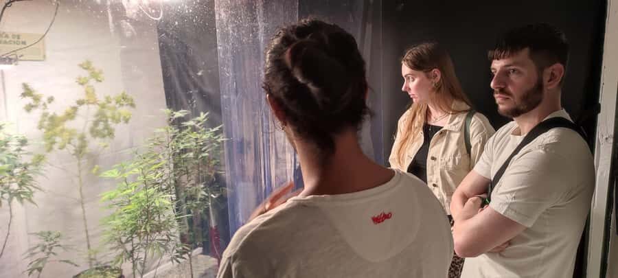 CANNABIS EXPERIENCE - Frequently Asked Questions