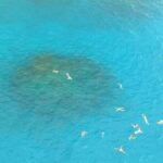 Caño Island from Sierpe - The Sum Up