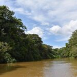 Caño Negro Wetlands by Boat|Small groups 8 max - Discovering the Caño Negro Wetlands: An In-Depth Review