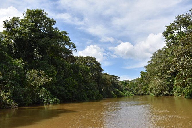 Caño Negro Wetlands by Boat|Small groups 8 max - Discovering the Caño Negro Wetlands: An In-Depth Review