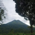 Caño Negro Wild Life Tour - A Deep Dive into the Caño Negro Wild Life Tour