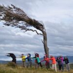 Canoeing Adventure on the Beagle Channel and Penguin Colony - Analyzing the Value