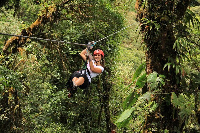Canopy Adventure From Monteverde - A Closer Look: What to Expect During Your Ziplining Adventure