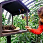Canopy Zipline & Butterflies From Monteverde - An In-Depth Look at the Monteverde Zipline & Wildlife Tour