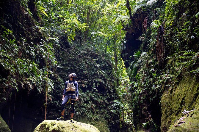 Canyon Experience in Dominica - Why This Tour Offers Great Value