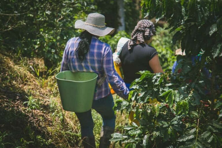 CANYONING and COFFEE TOUR AT LOCAL FAMILY FARM from GUATAPE - An Adventurous Day in Guatape: Canyoning and Coffee