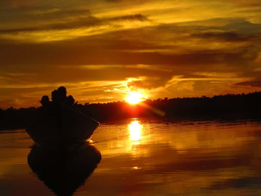 Capibara and caiman search on the Tambopata river - Exploring the Experience in Detail