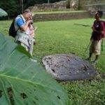Caracol with Rio Frio Cave and Big Rock Falls From San Ignacio - A Deep Dive into the Days Experience