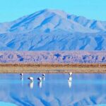 Caracoles: Red Stones of Atacama and Chaxa Guided Day Trip - The Full Breakdown: What to Expect on the Tour