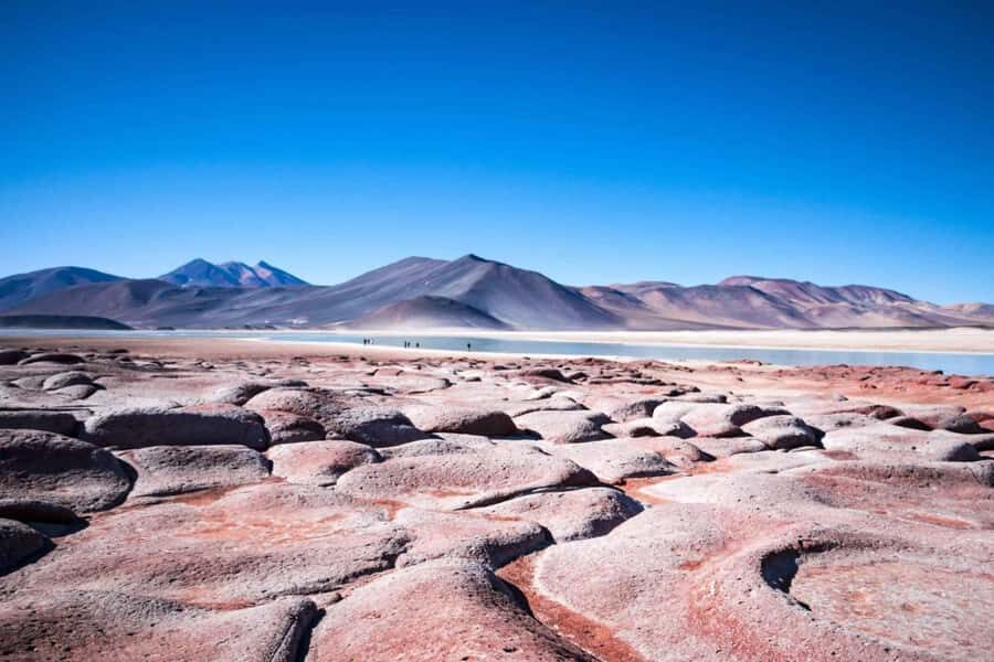 Caracoles: Red Stones of Atacama and Chaxa Guided Day Trip - Exploring the Atacama’s High Highlands