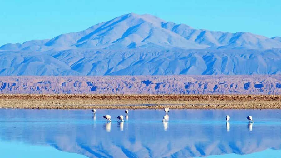 Caracoles: Red Stones of Atacama and Chaxa Guided Day Trip - The Full Breakdown: What to Expect on the Tour