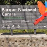 Carara National Park Birdwatching Private Guided Tour Experience. - Who Should Book This Tour?