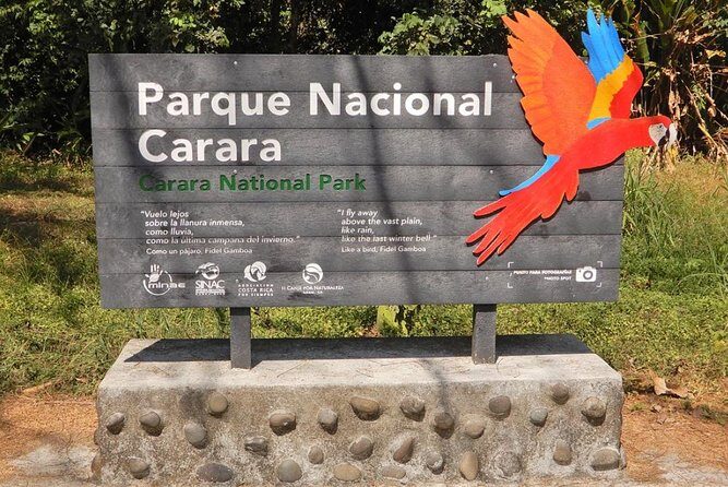 Carara National Park Birdwatching Private Guided Tour Experience. - Who Should Book This Tour?