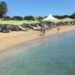 Caribbean Beach Delight - Final Thoughts on Caribbean Beach Delight