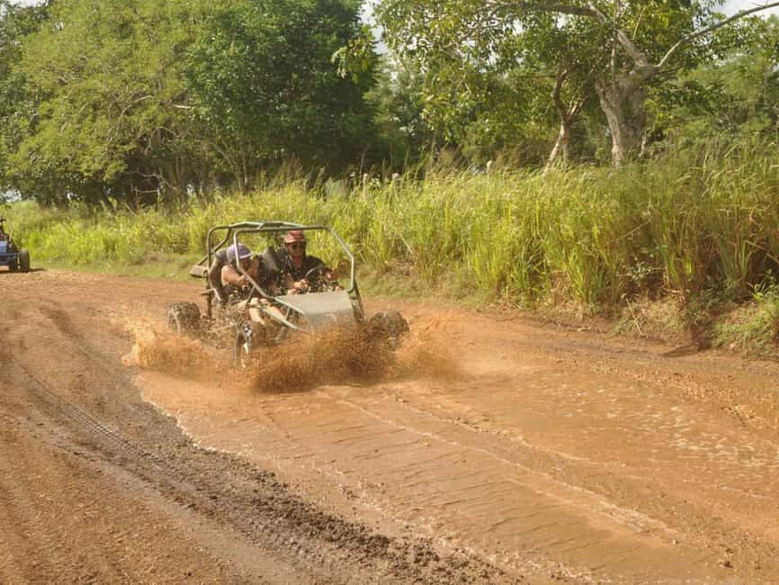 Caribbean Buggy Escape  Bayahibe Jungle & Safari - What’s Included and Practical Tips