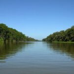 Caribbean Costa Rica: 5-Day Tour with Tortuguero National Park and Puerto Viejo - FAQ