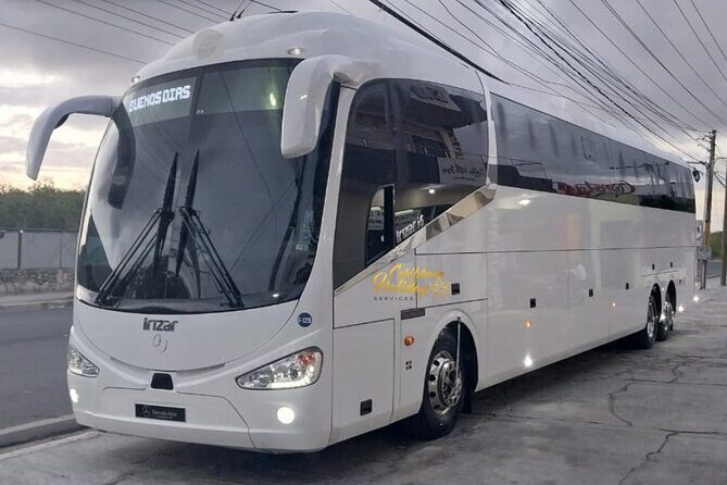 Caribbean Holiday Services Transfer - Reading the Feedback