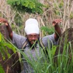 Caribbean Stonehenge - Hike on Green Castle Hill, Antigua. - Frequently Asked Questions