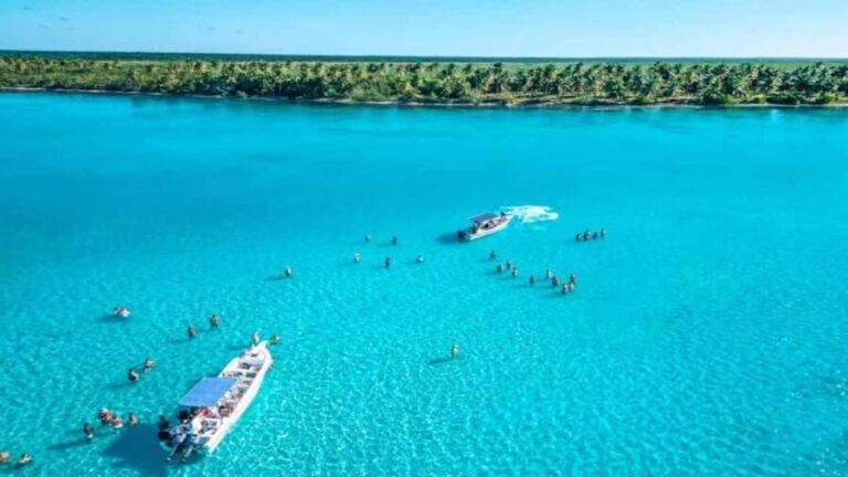 Carnevial Shore Excursion: Saona Island with Speedboat Ride - Transport, Group Size, and Pricing