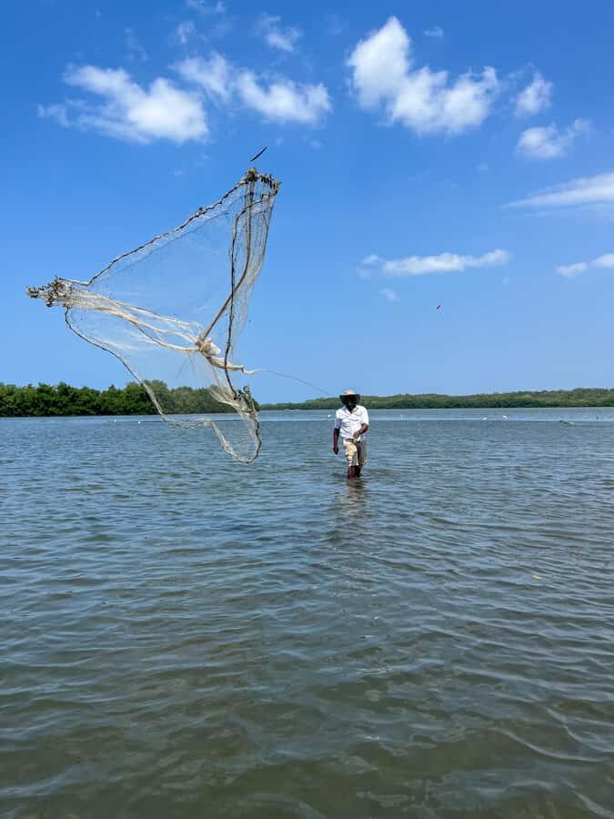 Cartagena: Artisanal fishing through the mangroves - How This Tour Balances Fun and Learning