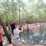Cartagena: Aviary National Park Tour with Hotel Pickup - An In-Depth Look at the Cartagena Aviary Tour