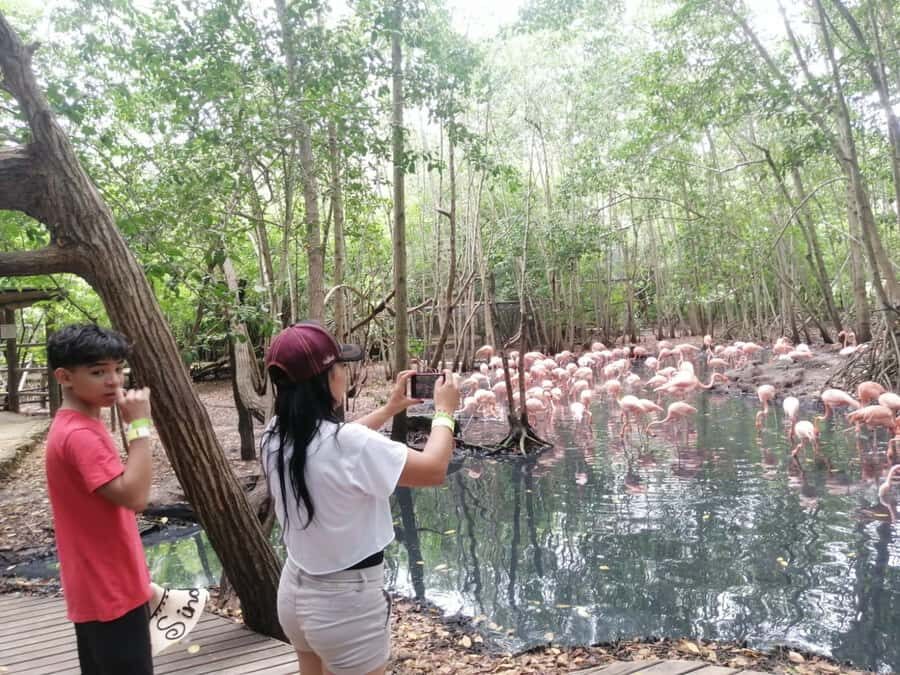 Cartagena: Aviary National Park Tour with Hotel Pickup - An In-Depth Look at the Cartagena Aviary Tour