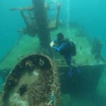 Cartagena: Basic Diving for beginners in Rosario Islands - What to Expect on Your Day Out