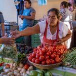 Cartagena: Bazurto Market & La Popa Convent Tour with Lunch - Who Is This Tour Best For?