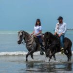 Cartagena: Beach Horse Ride and Colombian Horse Culture - FAQ