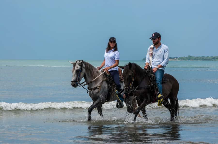 Cartagena: Beach Horse Ride and Colombian Horse Culture - FAQ