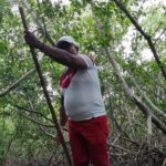 Cartagena : Boquilla and Mangroves Canue Ride (Also for Cruisers) - Why This Tour Offers Great Value