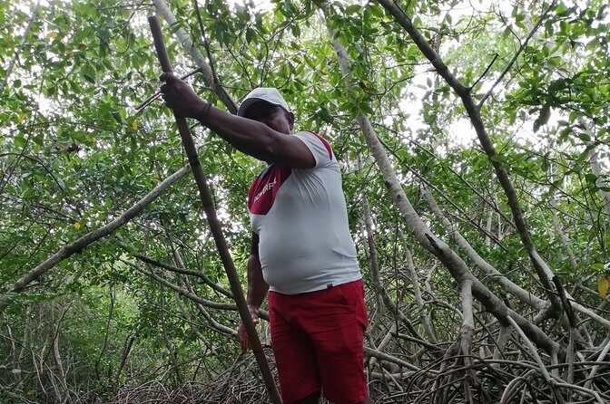 Cartagena : Boquilla and Mangroves Canue Ride (Also for Cruisers) - Why This Tour Offers Great Value