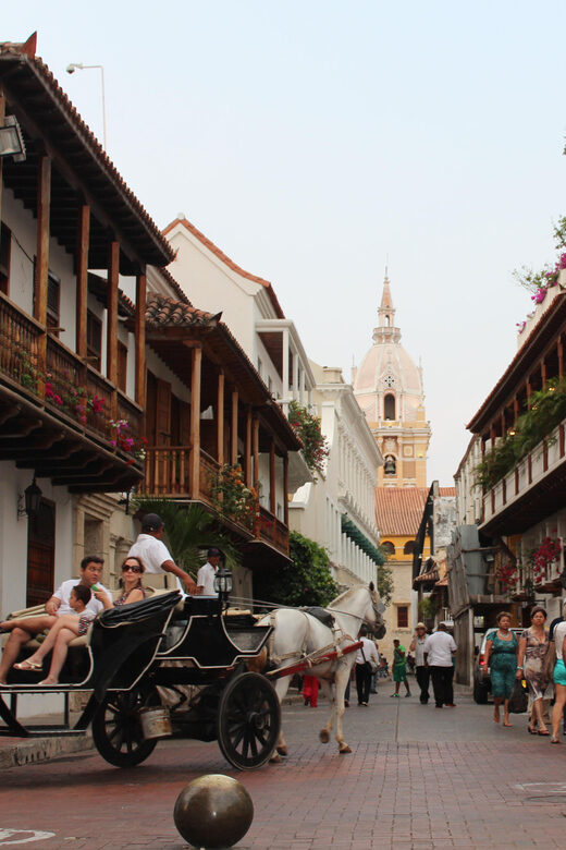 Cartagena: Complete private city tour of the monuments - Who Should Consider This Tour?