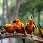 Cartagena: Cristal Beach Day Trip with Cocktail and Lunch - An In-Depth Look at the Tour Experience