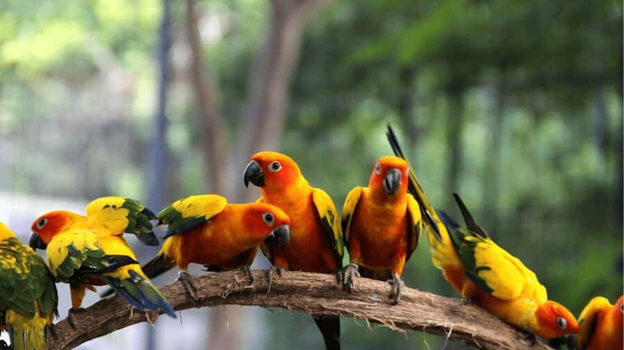 Cartagena: Cristal Beach Day Trip with Cocktail and Lunch - An In-Depth Look at the Tour Experience