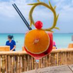 Cartagena: Day Trip Aviary and enjoy Playa Blanca by bus - Who Should Consider This Tour?