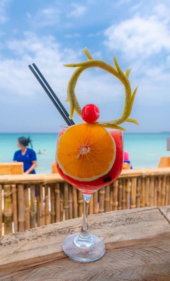 Cartagena: Day Trip Aviary and enjoy Playa Blanca by bus - Who Should Consider This Tour?