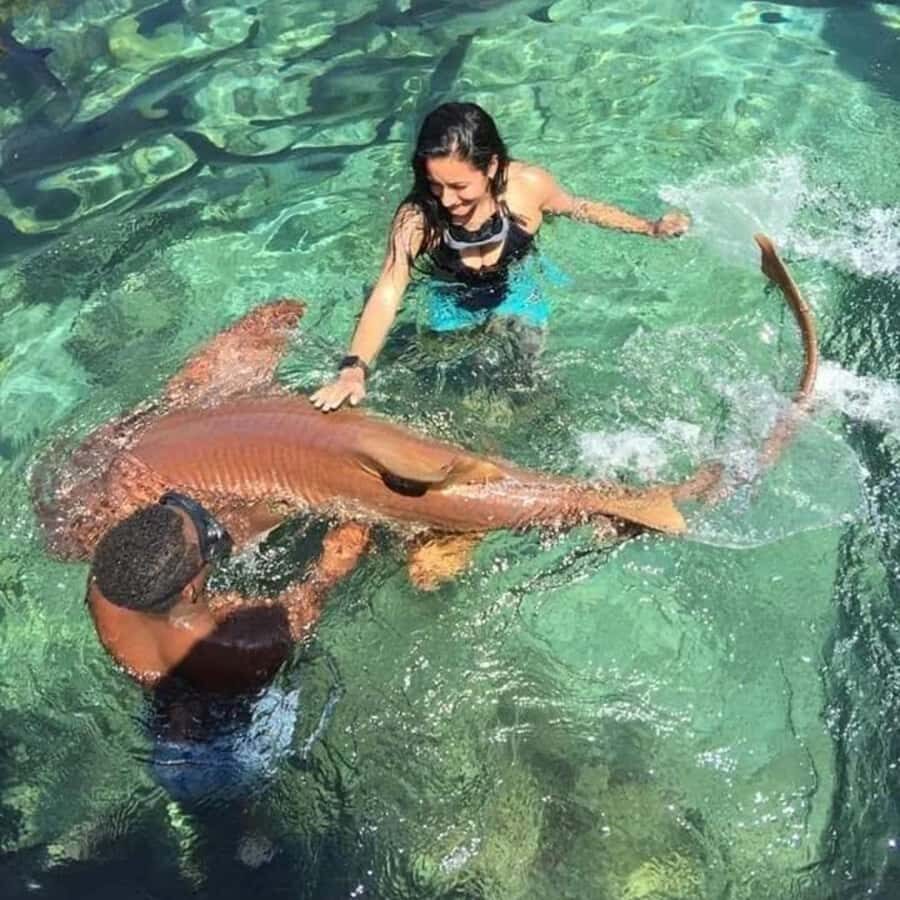 Cartagena: DayTour Mucura, tintipan and Islote by speadboat - What’s Included and What’s Not