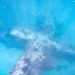 Cartagena: disfruta las islas del rosario con barra libre - Frequently Asked Questions (FAQs)