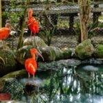 Cartagena: Entrance to the AVIARY with TRANSFER INCLUDED - Final Thoughts: Is It Worth It?