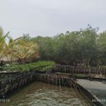 Cartagena: FISHERMEN'S ISLAND IN THE MANGROVES by canoe - Final Thoughts