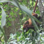 Cartagena: Guided Hiking Tour - Is This Tour Right for You?