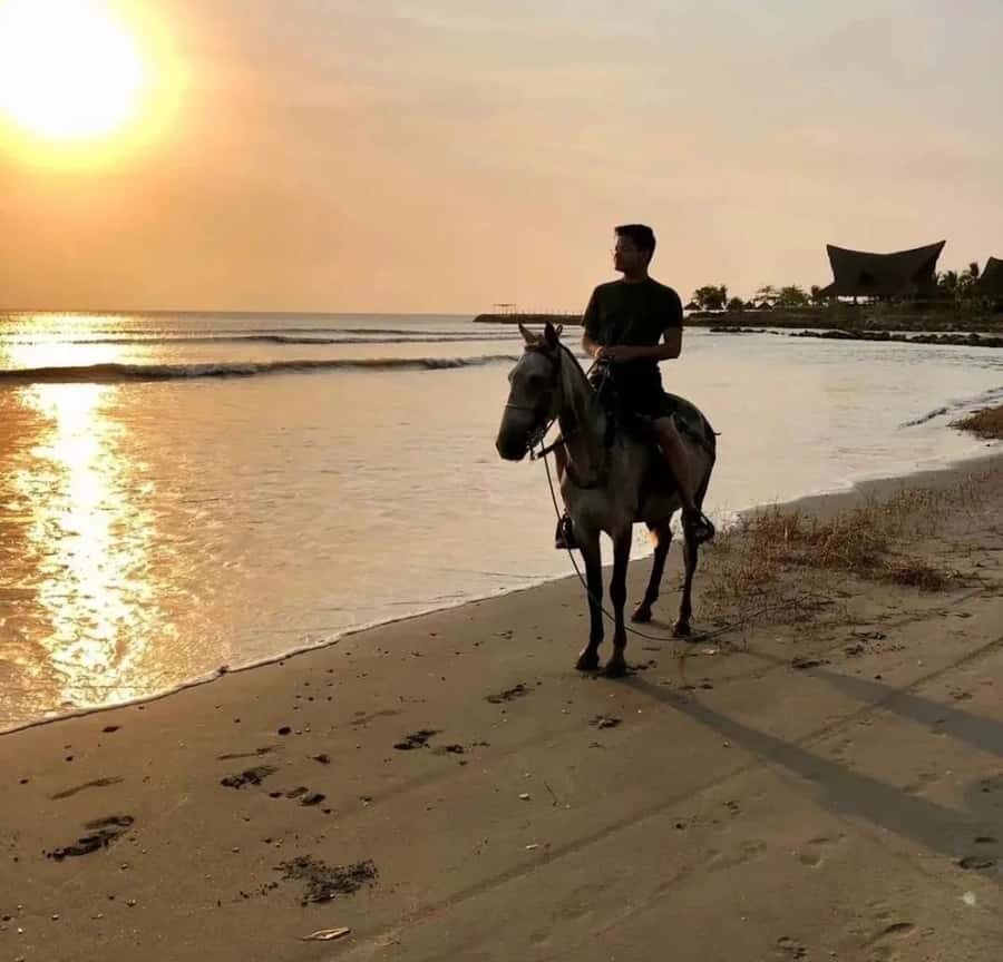 Cartagena: Horseback Ridding Excursion on the Beach - Why This Tour Offers Great Value